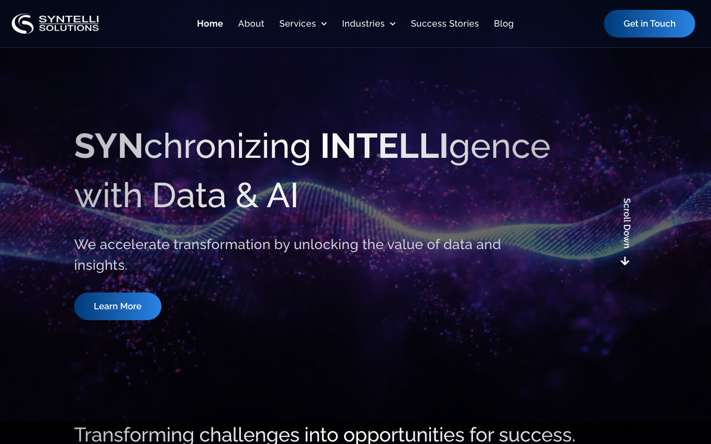 Syntelli Solutions homepage showing its data science and analytics consulting positioning